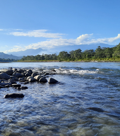 Nameri National Park